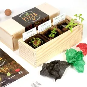 Kit autocultivo