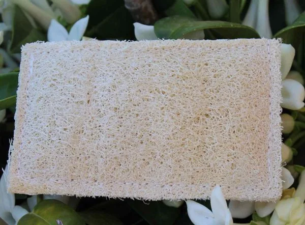 Estropajo de hogar de luffa - Imagen 5