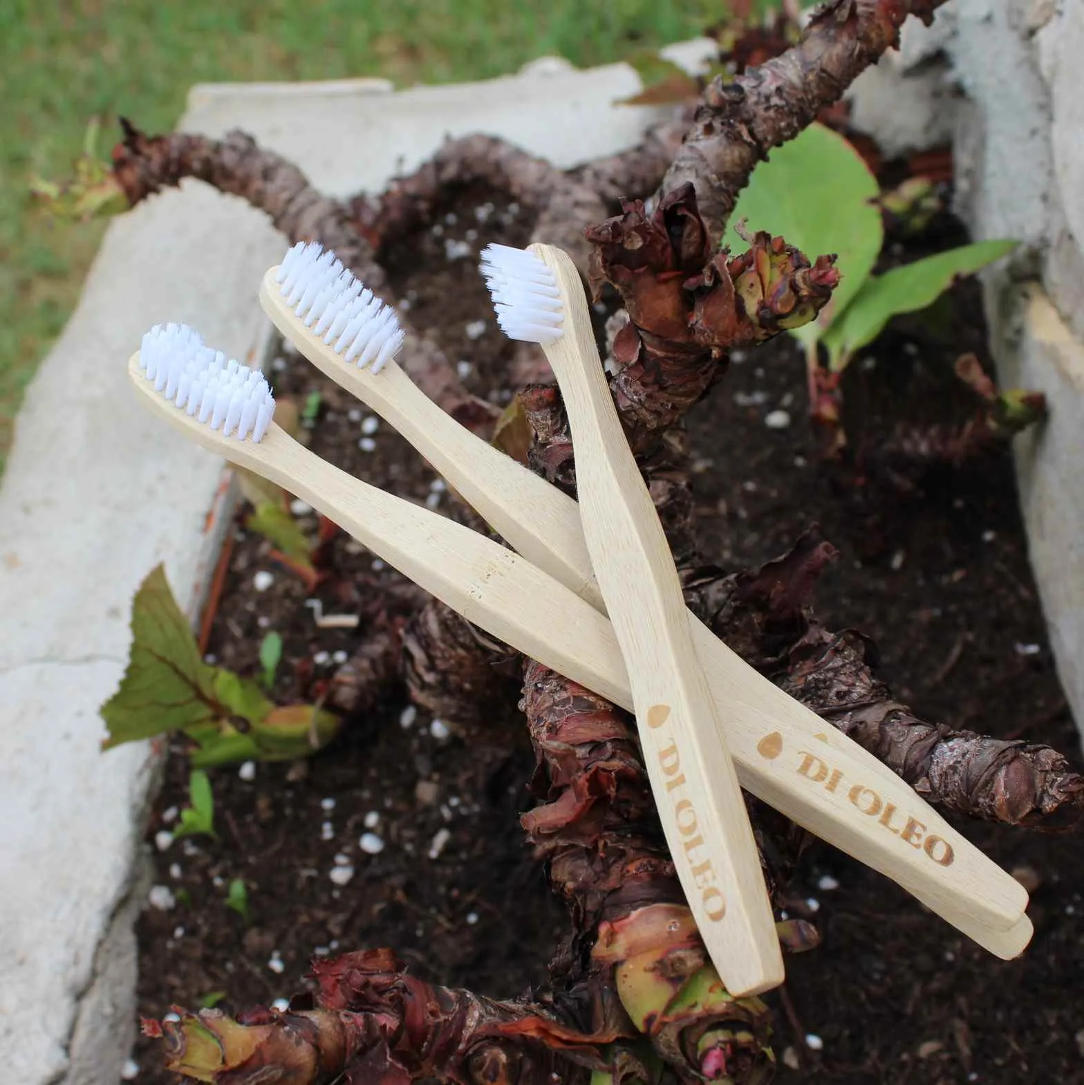 Cepillo de dientes de bambú DI OLEO - Imagen 2