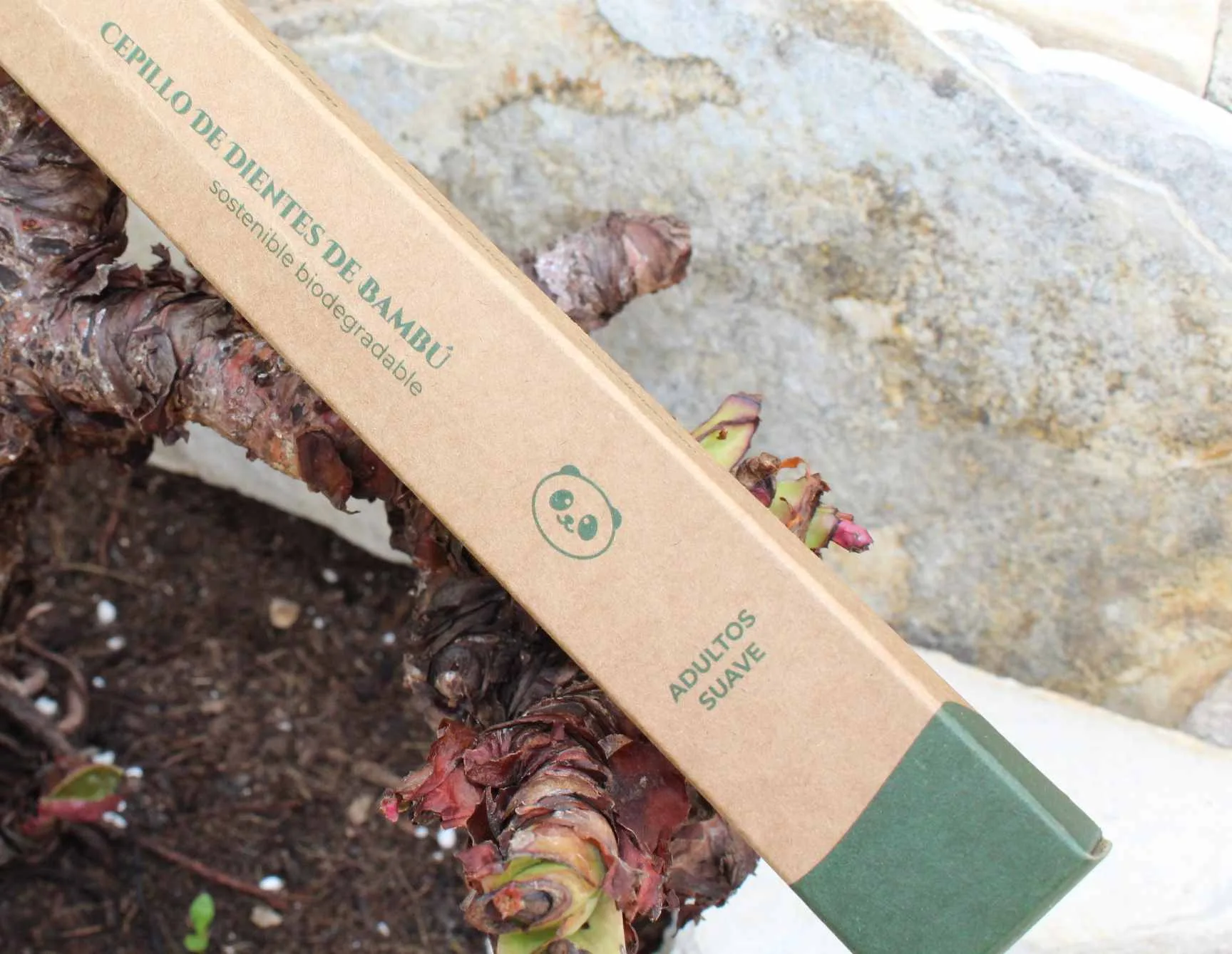 Cepillo de dientes de bambú DI OLEO - Imagen 3