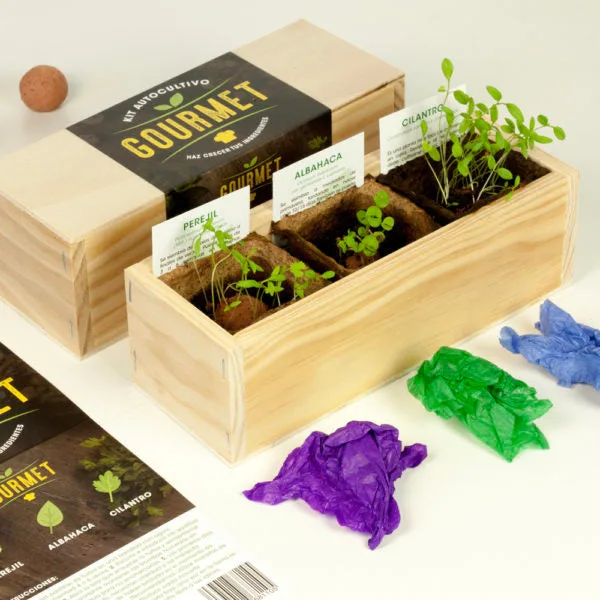 Kit autocultivo - Imagen 5