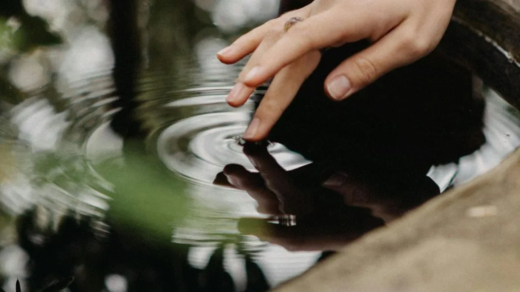 Productos de limpieza biodegradables